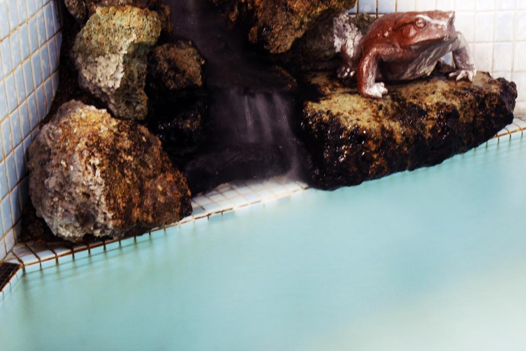 Ryokan Seizan-So Kaminoyama Pokoj fotografie